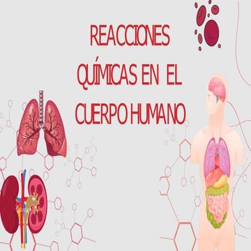 Reacciones Químicas en el cuerpo humano.pptx