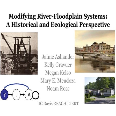 Modifying River-Floodplain Systems: A Historical and Ecological Perspective