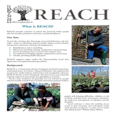 Reach Information | PDF