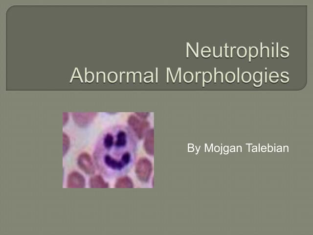 Reactive Atypical Abnormal Morphology of neutrophils