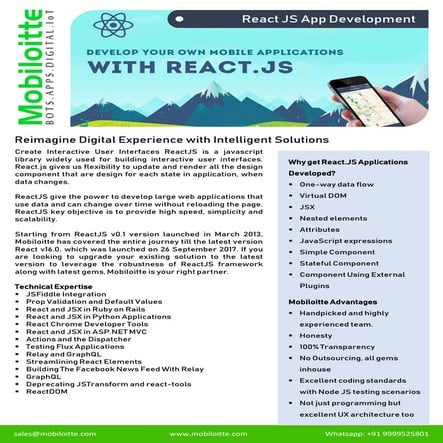 React JS App Development Service