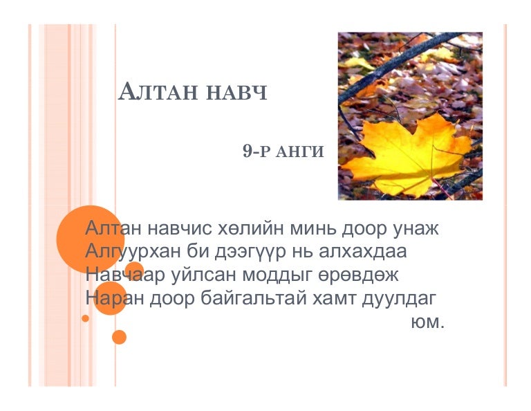 алтан навч