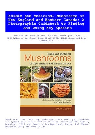 (READ-PDF!) Edible and Medicinal Mushrooms of New England and Eastern Canada A Photographic Guidebook to Finding and Using Key Species eBook PDF