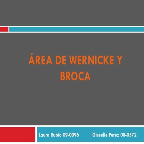 áRea De Wernicke