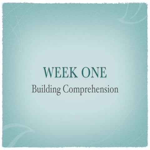 Building Comprehension - 1st  Trimester
