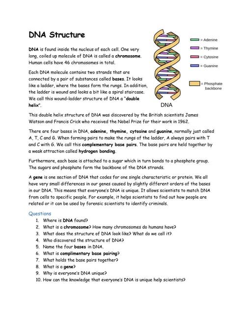 DNA Biology Science Education Presentation in Blue Orange Illustrated ...