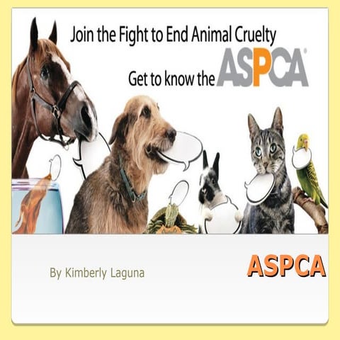 Reading 142 aspca project final