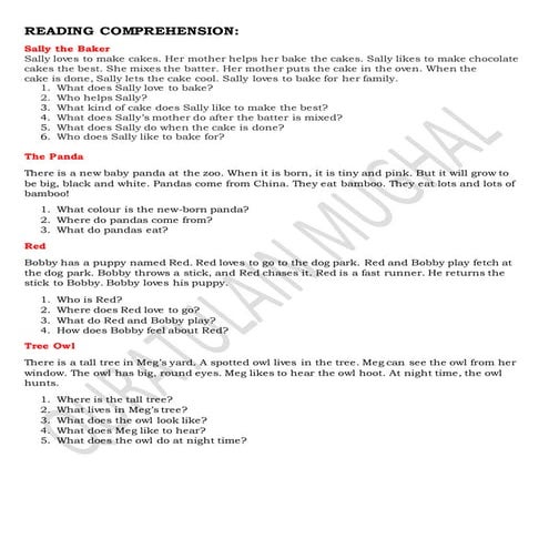 Reading comprehension