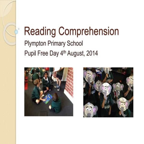 Reading comprehension pupil free