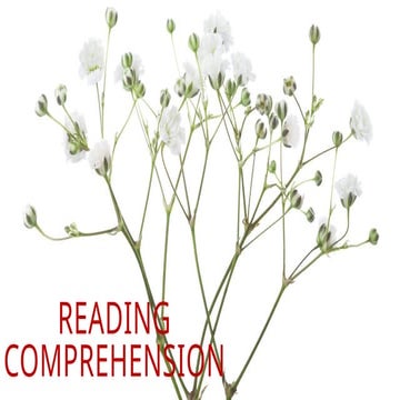 ReadIng Comprehensıon -Passages with activities