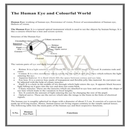 Free Study material on Human eye and colourful world pdf  download