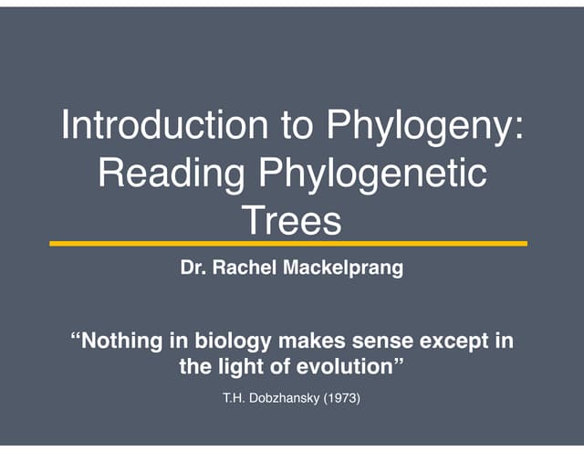 Microbial Diversity Part 2: Reading Phylogenetic Trees