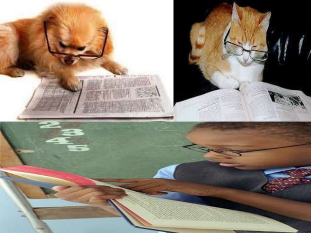 Reading skills (skimming and scanning)