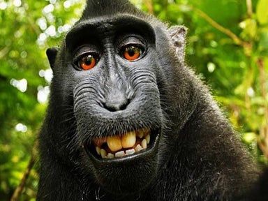 Movimiento abierto y Recursos Educativos Abiertos