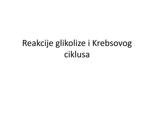 Svetla faza fotosinteze
