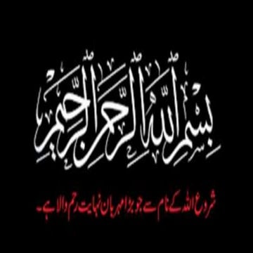 Pharmacognostic features of curcuma