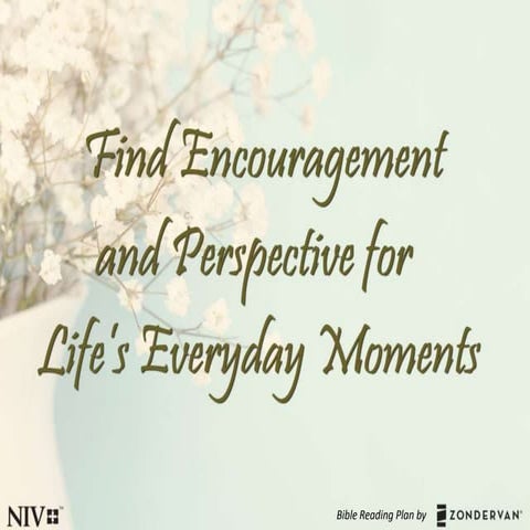 Encouragement & Perspective for Everyday Moments in Life - Bible Reading Plan...