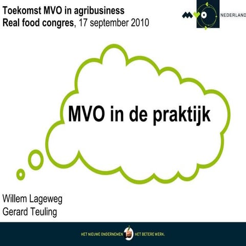 MVO-routekaart-rapport-v5 | PDF