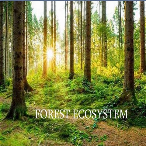 The Forest Ecosystem and its Classification