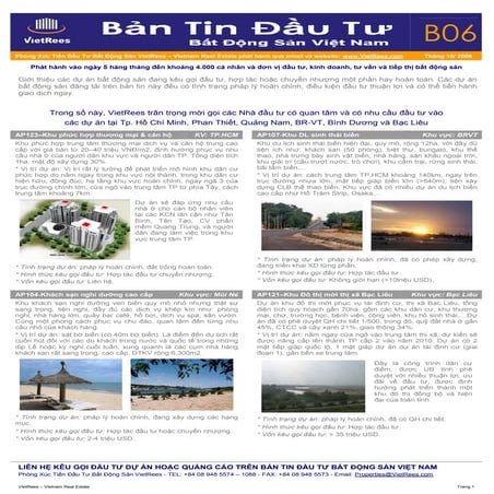 RealInvest_Newsletter_B_No_06_Thang10_Nam08
