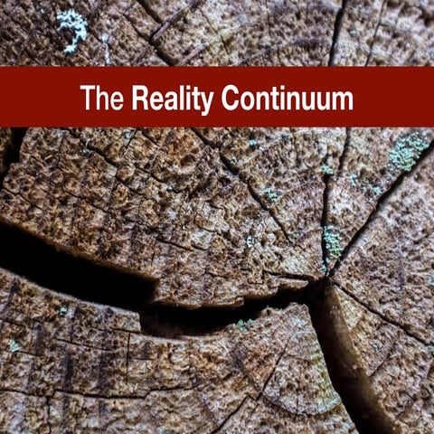 The Reality Continuum