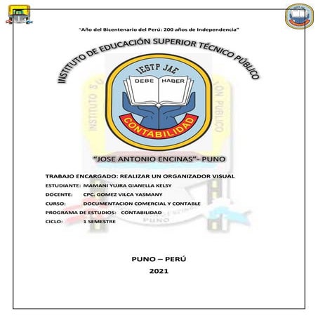 REALIZAR UN ORGANIZADOR VISUAL.pdf