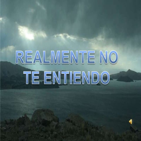 Realmente no te entiendo