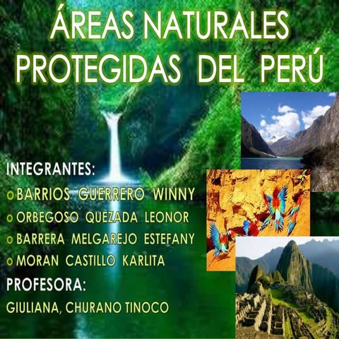 áRea  protegidas  del  perú