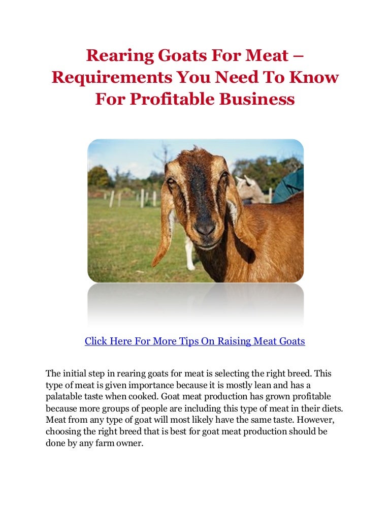 Rearing Goats For Meat Requirements You Need To Know For Profitable…