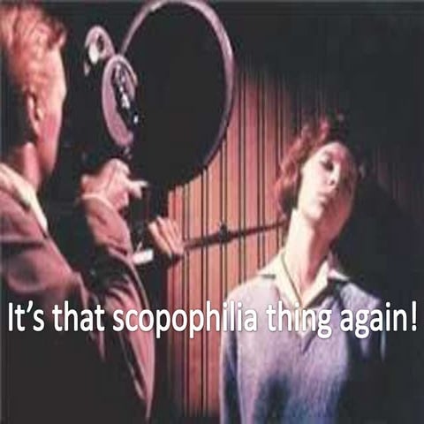 Rear window spectatorship