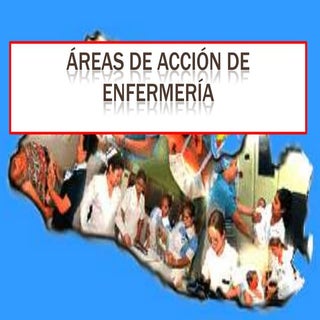 Areas de accion y funciones de enfe...