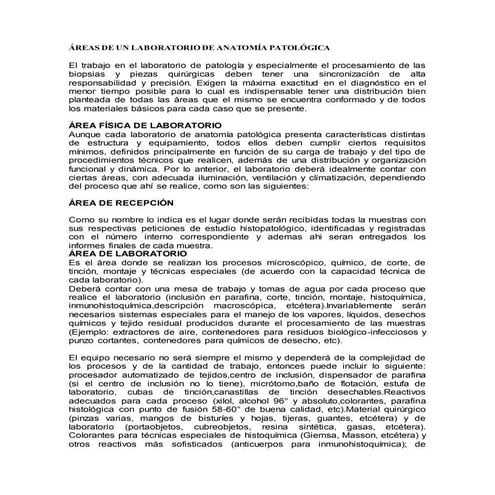 áReas de un laboratorio de anatomía patológica