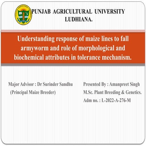 Identification of quantitative trait loci for resistance to shoot fly ...