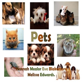 Reasearch for documentary