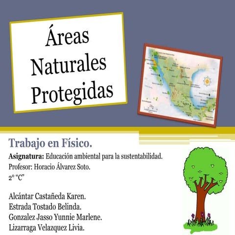 Áreas Naturales Protegidas, Trabajo en físico, 2° "C". 