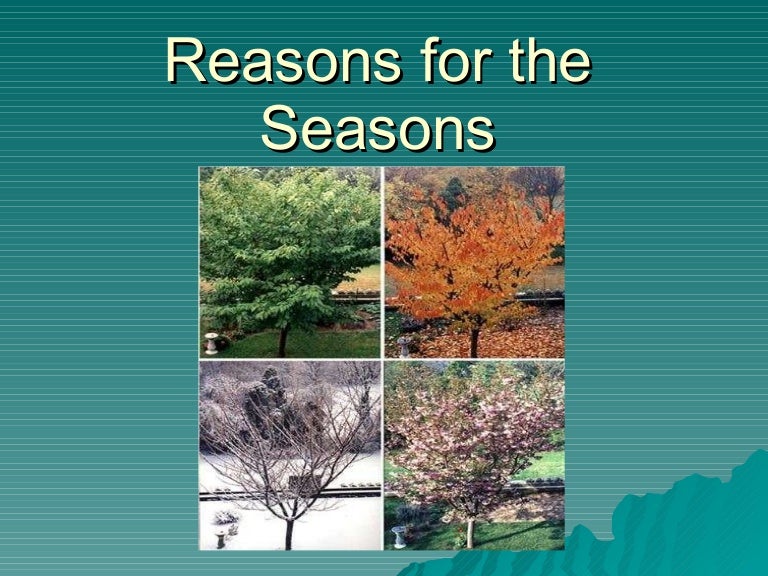 reasons-for-the-seasons-notes
