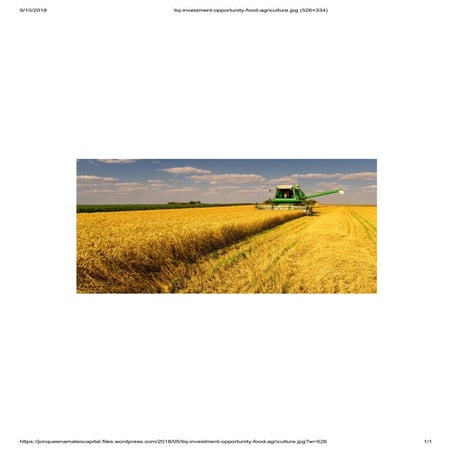 Reasons to invest in agriculture