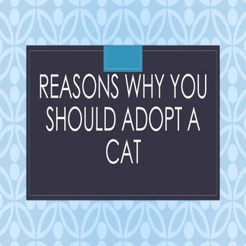 Reasons Why You Should Adopt A Cat Pptx