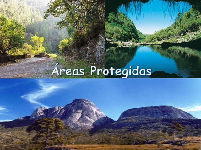 áReas protegidas