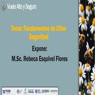 Vuela Alto y Seguro Fundamentos de Ciberseguridad