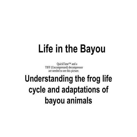 LSUMNS bayou activity