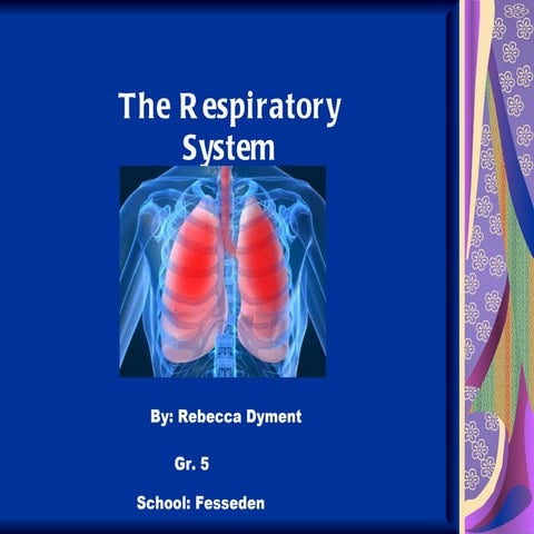 Rebecca dyment respiratory system2