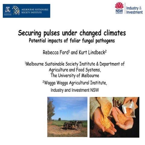 Securing pulses under changed climates - Rebecca Ford