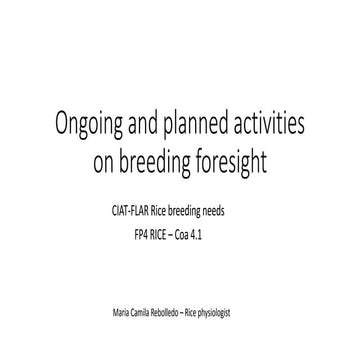 Breeding foresight workshop: Presentation by CIAT-FP4 RICE