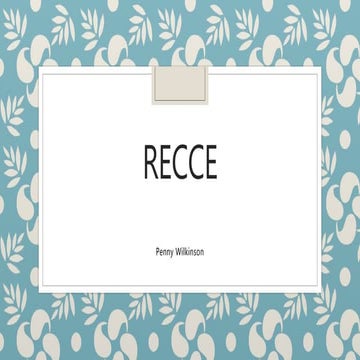 Recce questions | DOC