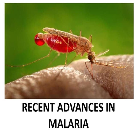 Recent advances in malaria