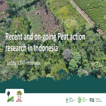 Recent and on-going Peat action research in Indonesia