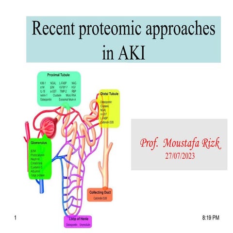 Recent proteomic approaches in AKI.pdf