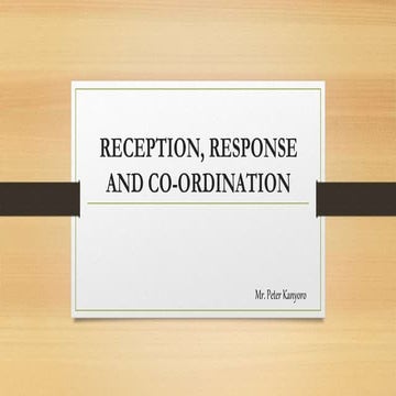 Reception and response 