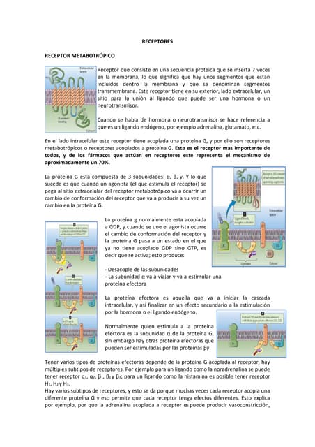 Receptores